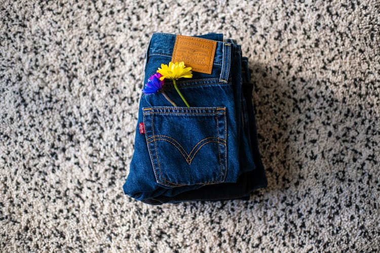 Denim Diary: Levi’s 1950s 701